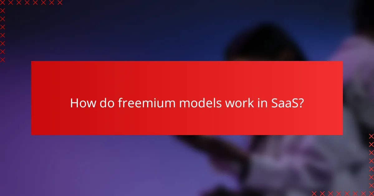 How do freemium models work in SaaS?