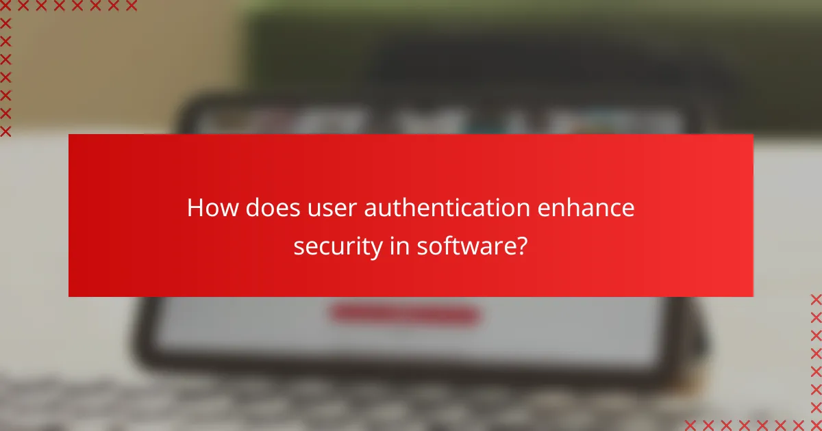 How does user authentication enhance security in software?