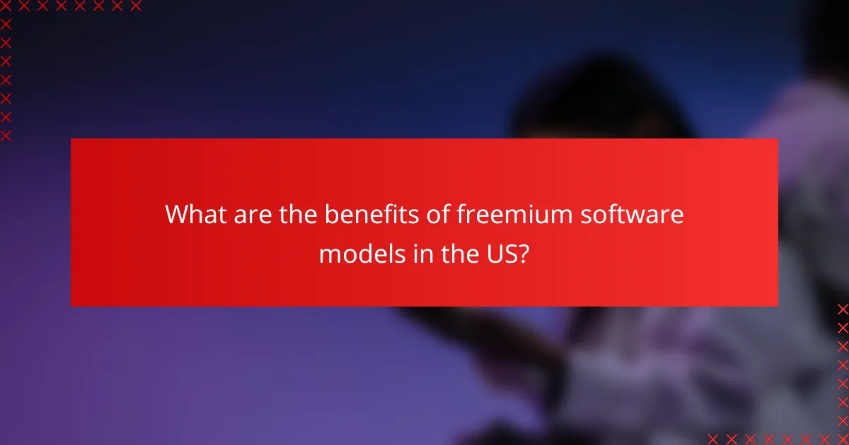 What are the benefits of freemium software models in the US?